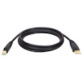 Eaton Tripp Lite Series USB 2.0 A to B Cable (M/M), 10 ft. (3.05 m)