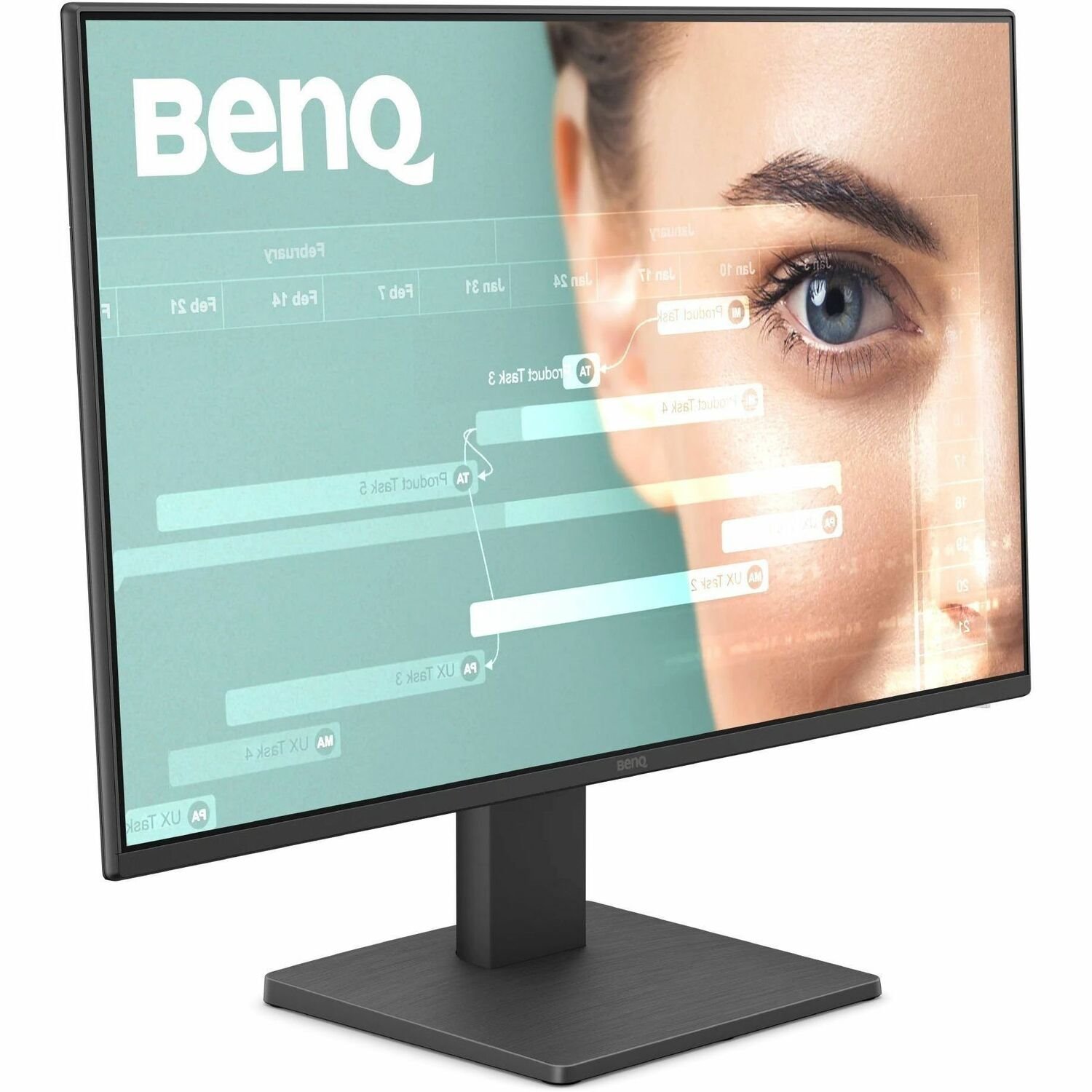 BenQ GW2491 24" Class Full HD LED Monitor - 16:9