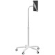 CTA Digital Heavy-Duty Medical Mobile Floor Stand for 7-13 Inch Tablets (White)