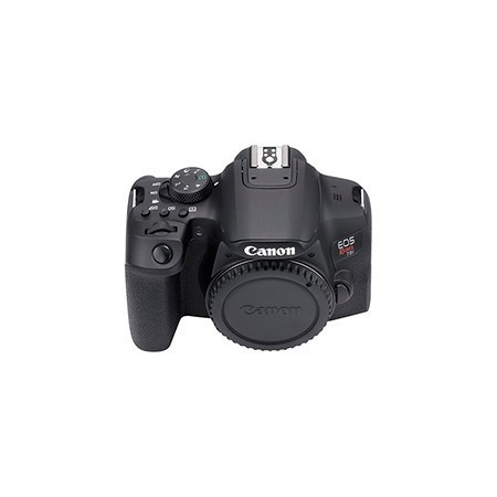 Canon EOS Rebel T8i 24.1 Megapixel Digital SLR Camera Body Only