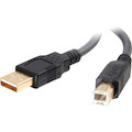 C2G 16.4ft USB A to USB B Cable - Ultima Series Black - M/M