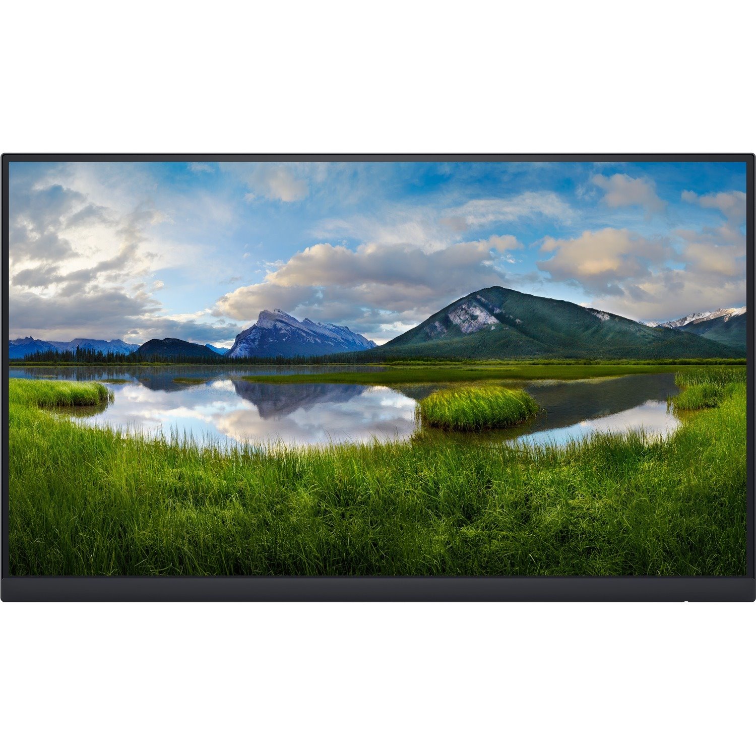 Dell P2222H_WOST 54.6 cm (21.5") LCD Monitor