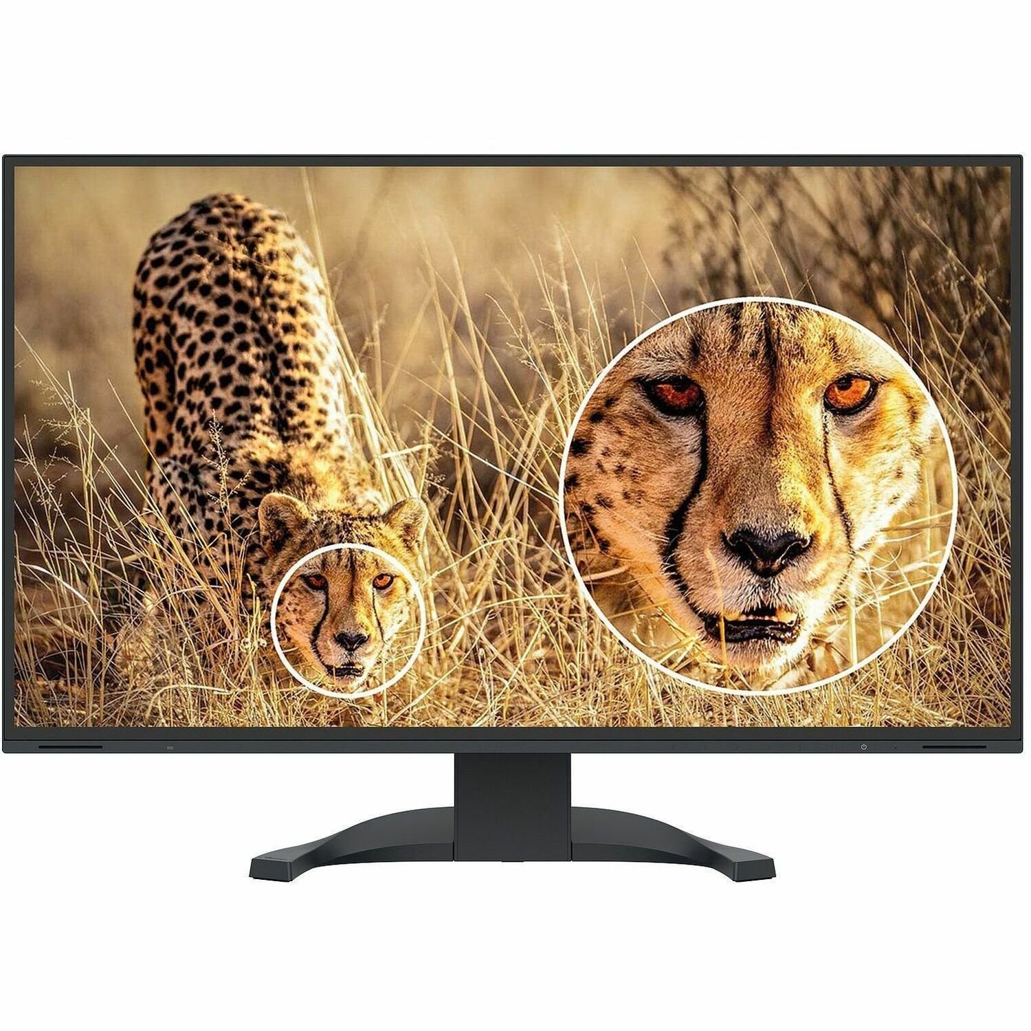 EIZO FlexScan EV2740X-BK 27" Class 4K UHD LED Monitor - 16:9 - Black