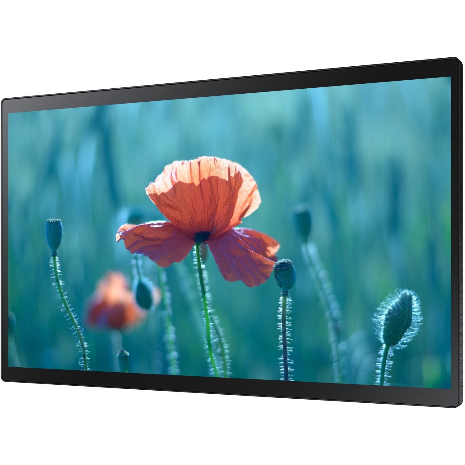 Samsung QB24R-TB 61 cm (24") LCD Digital Signage Display