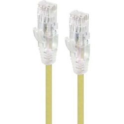 Alogic Alpha 5 m Category 6 Network Cable for Network Device