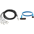 HPE Sourcing Serial Attached SCSI (SAS) Cable