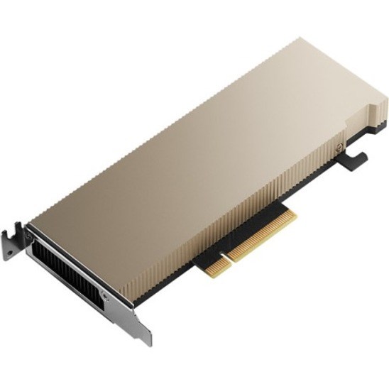 PNY NVIDIA A2 Graphic Card - 16 GB GDDR6 - Low-profile