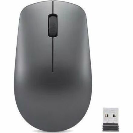 Lenovo Mouse - Radio Frequency - USB Type A - Optical - 3 Button(s) - Storm Grey