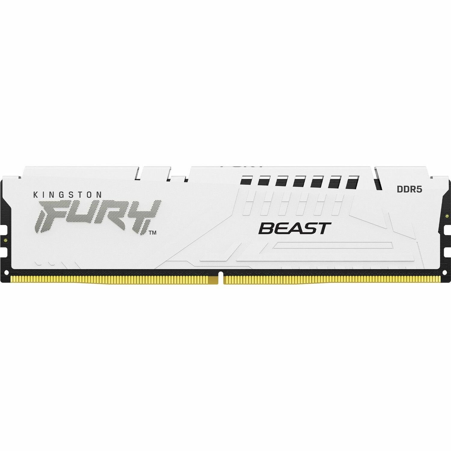 Kingston FURY Beast 16GB DDR5 SDRAM Memory Module