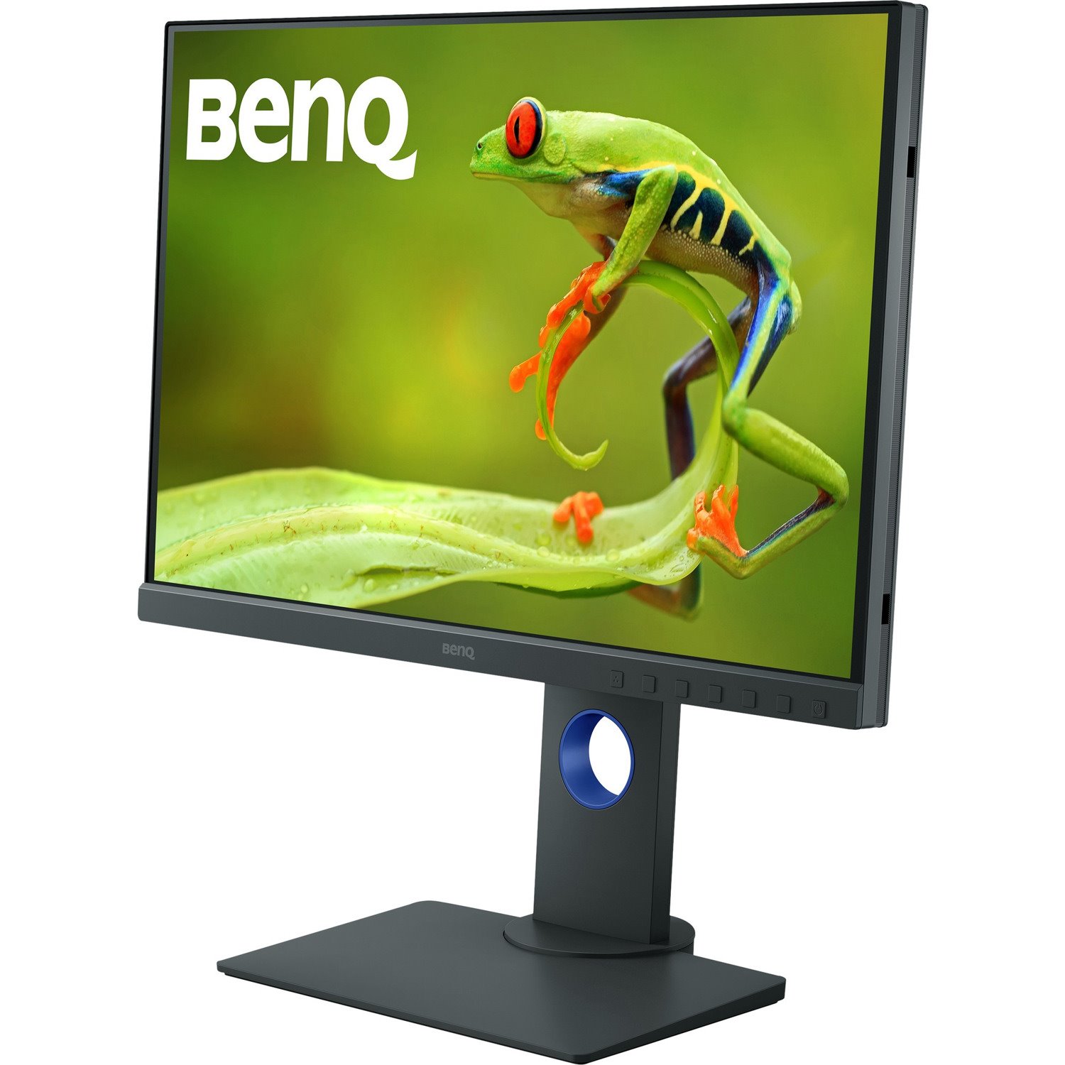 BenQ PhotoVue SW240 WUXGA LCD Monitor - 16:10 - Gray