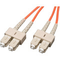 Eaton Tripp Lite Series Duplex Multimode 62.5/125 Fiber Patch Cable (SC/SC), 23M (75 ft.)