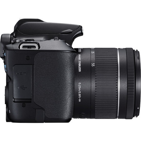 Canon EOS 250D 24.1 Megapixel Digital SLR Camera with Lens - 18 mm - 55 mm - Black