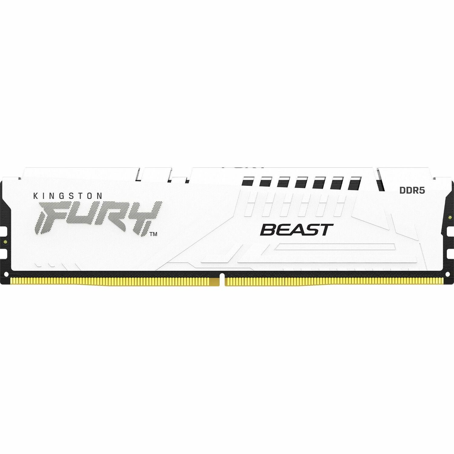 Kingston FURY Beast 32GB (2 x 16GB) DDR5 SDRAM Memory Kit