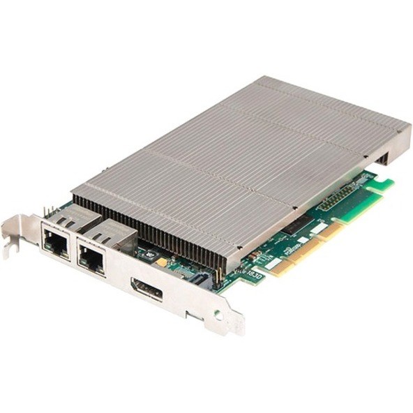 Black Box Radian Video Wall Processor Decoding Card - DisplayPort H.264