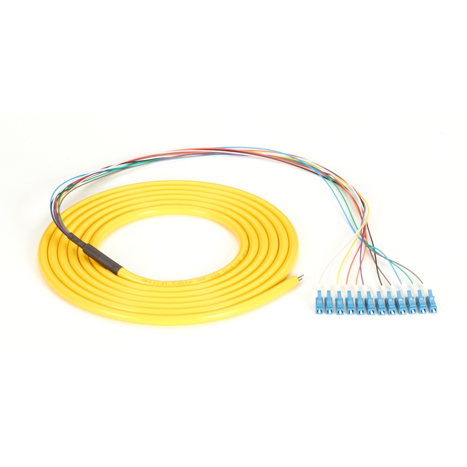 Black Box OS2 9-Micron Single-Mode Fiber Optic Pigtail - 12-Strand, OFNR, PVC