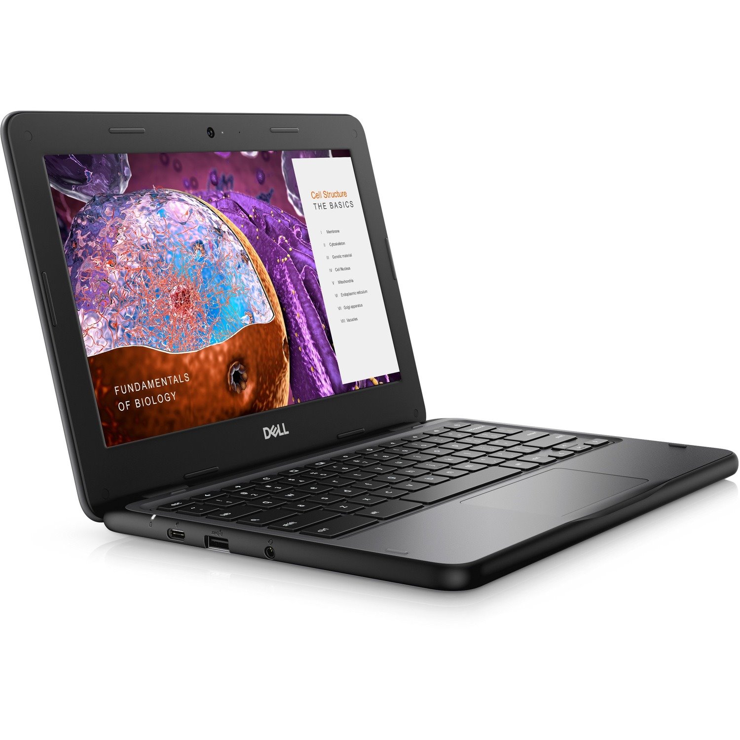 Dell Education Chromebook 3000 3110 11.6" Touchscreen Convertible 2 in 1 Chromebook - HD - Intel Celeron N4500 - 4 GB - 32 GB Flash Memory - English (US) Keyboard