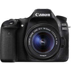 Canon EOS 80D 24.2 Megapixel Digital SLR Camera with Lens - 0.71" - 2.17"