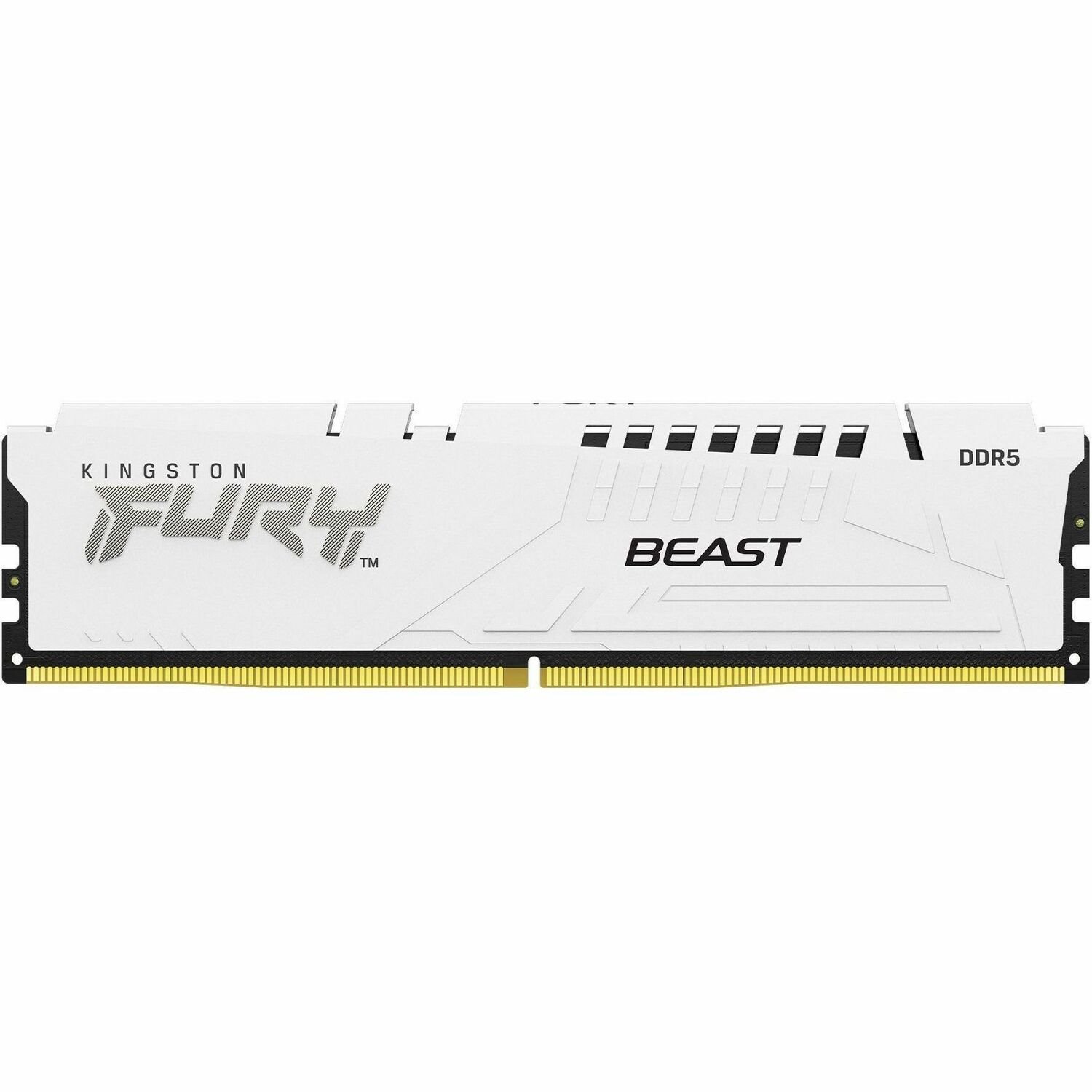 Kingston FURY Beast RAM Module - 16 GB - DDR5-6000/PC5-48000 DDR5 SDRAM - 6000 MHz Single-rank Memory - CL30 - 1.40 V