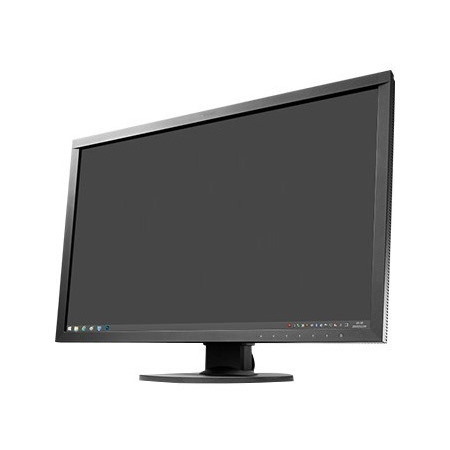 EIZO ColorEdge CS2420 WUXGA LCD Monitor - 16:10 - Black