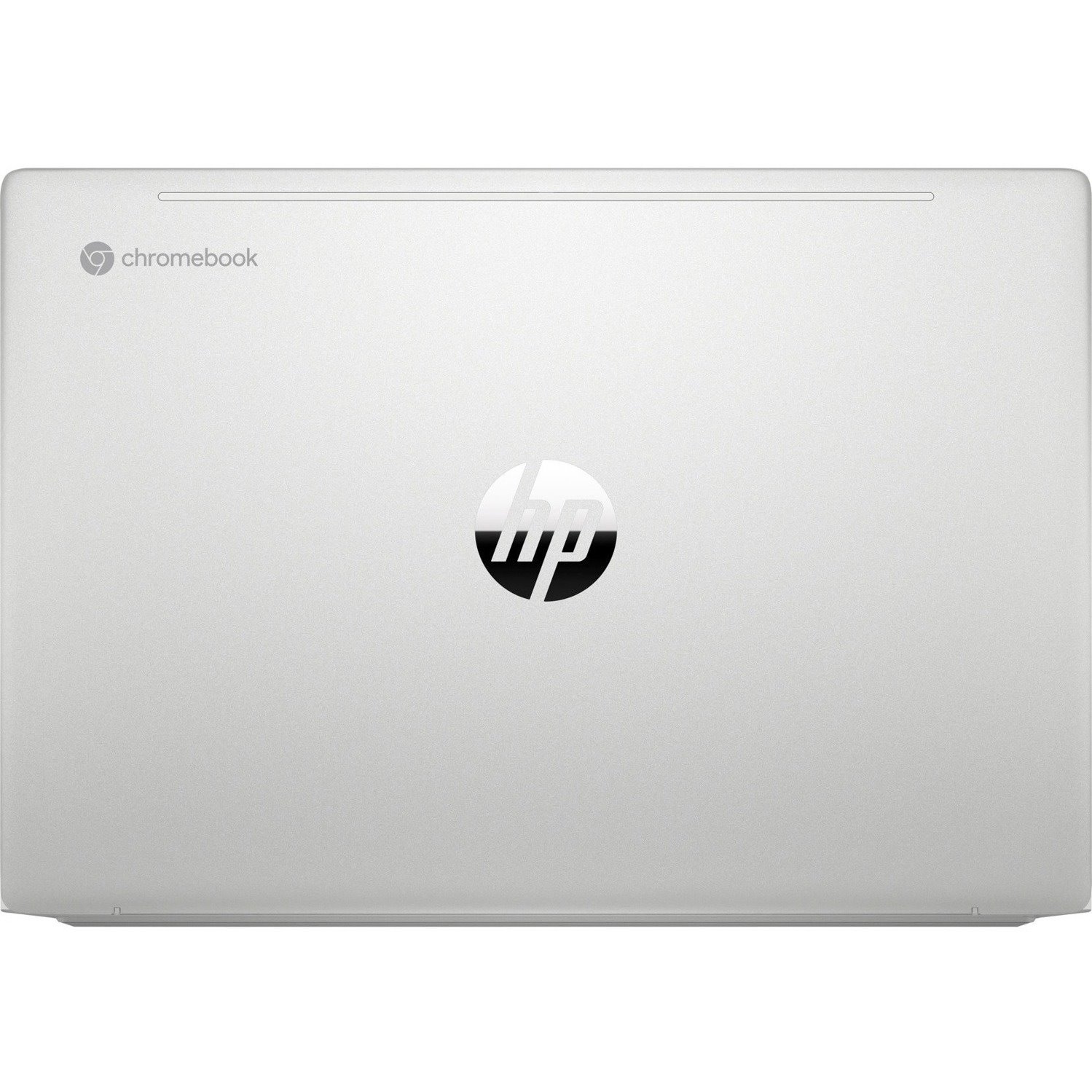 HP Pro c640 14" Chromebook - HD - Intel Celeron 6305 - 4 GB - 64 GB Flash Memory - English, French Keyboard