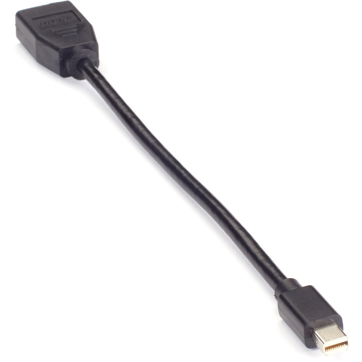 Black Box Mini DisplayPort-to-DisplayPort Adapter