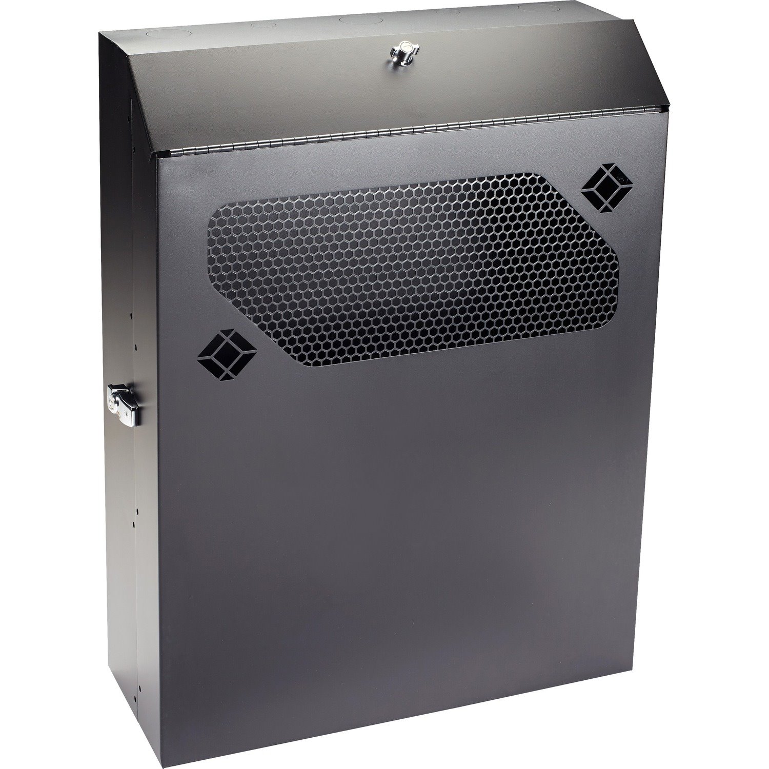 Black Box Low-Profile Vertical Wallmount Cabinet - 4U, 36"D Equipment