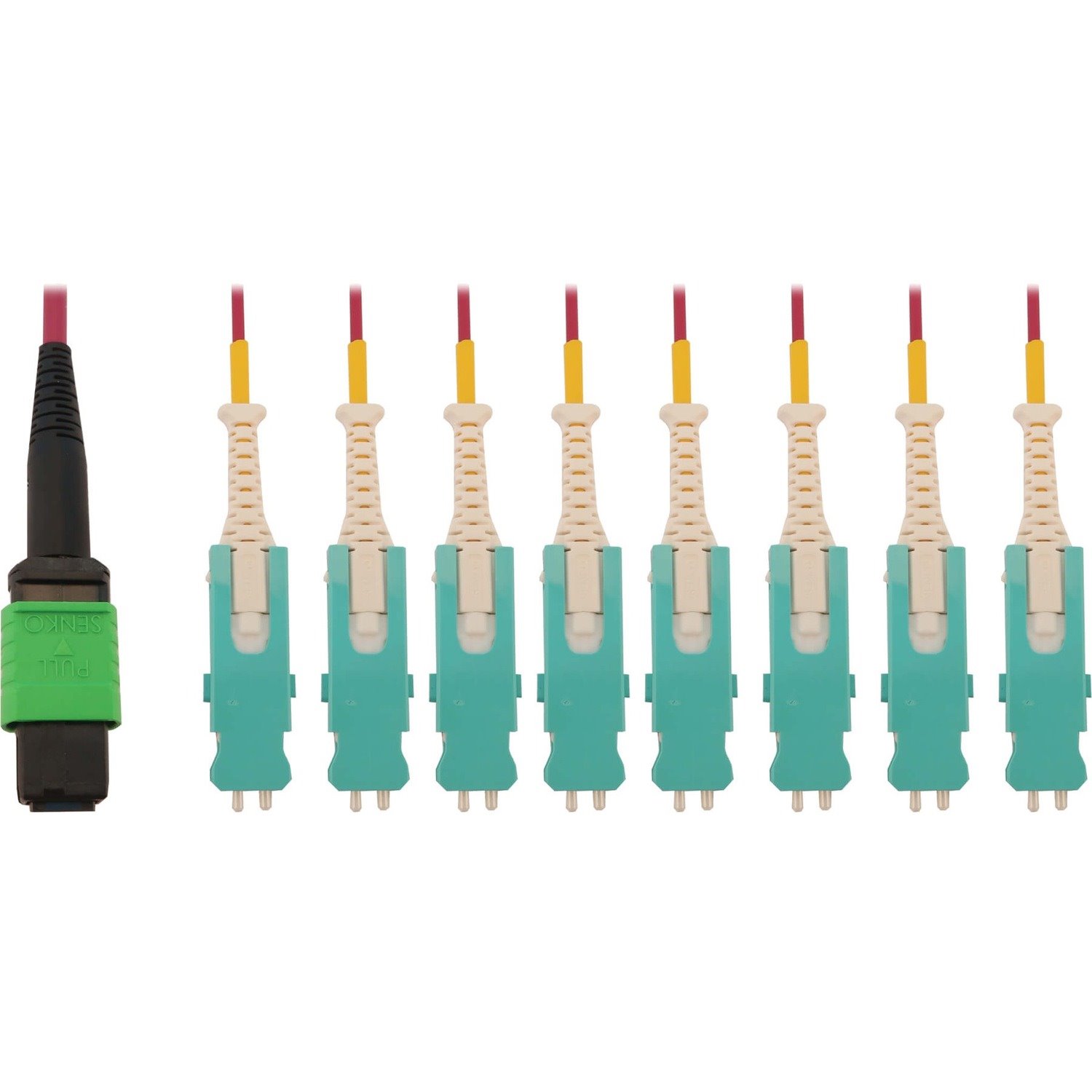 Eaton Tripp Lite Series 40/100/400G Multimode 50/125 OM4 Breakout Fiber Optic Cable (16F MTP/MPO-APC to 8x Duplex SN-PC F/M), LSZH, Magenta, 3 m (9.8 ft.)