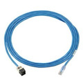 Panduit Cat.6a Network Cable