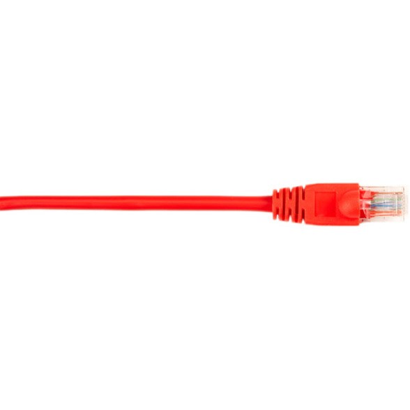 Black Box CAT5e Value Line Patch Cable, Stranded, Red, 1-ft. (0.3-m), 10-Pack