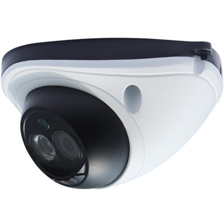 Fortinet FortiCam 2 Megapixel HD Network Camera - Colour - Dome