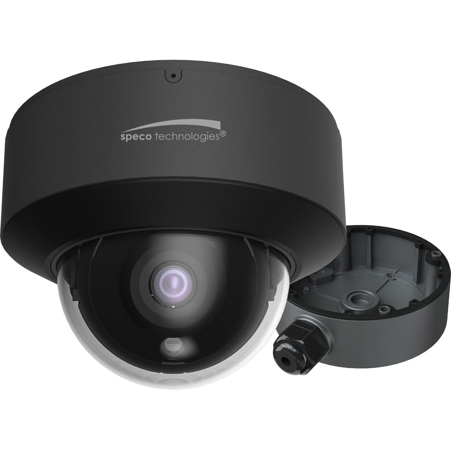 Speco Intensifier 4 Megapixel Outdoor Network Camera - Color - Dome - Dark Gray