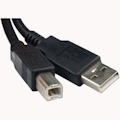 Rosewill 10ft. USB2.0 A Male to B Male Cable, Black, Model RCW-101RT