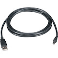 Black Box USB 2.0 A to Mini B Cable