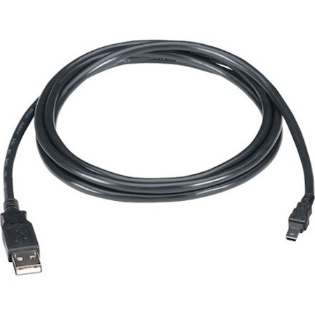 Black Box USB 2.0 A to Mini B Cable