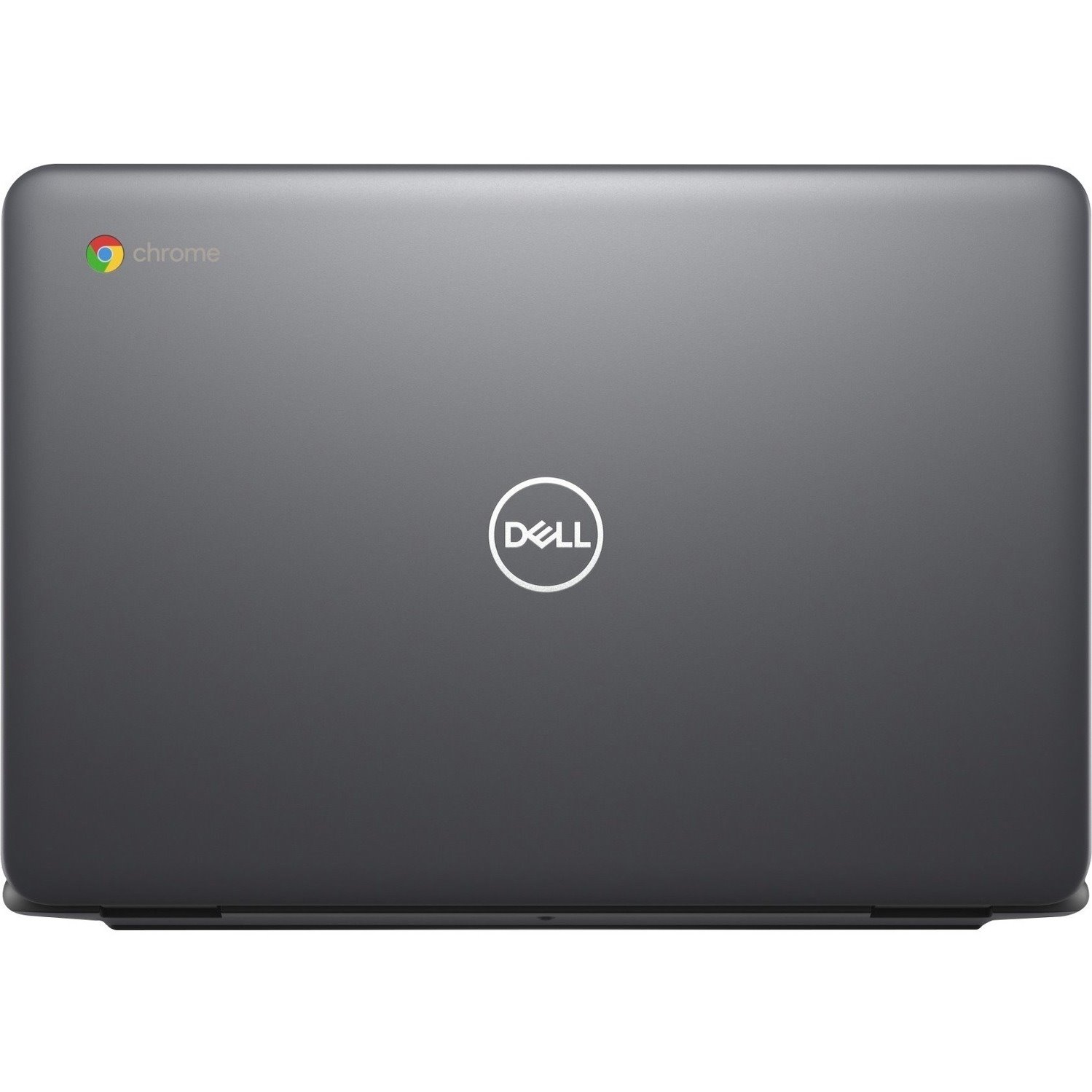 Dell Chromebook 11 3000 3100 11.6" Chromebook - HD - Intel Celeron N4120 - 8 GB - 64 GB Flash Memory