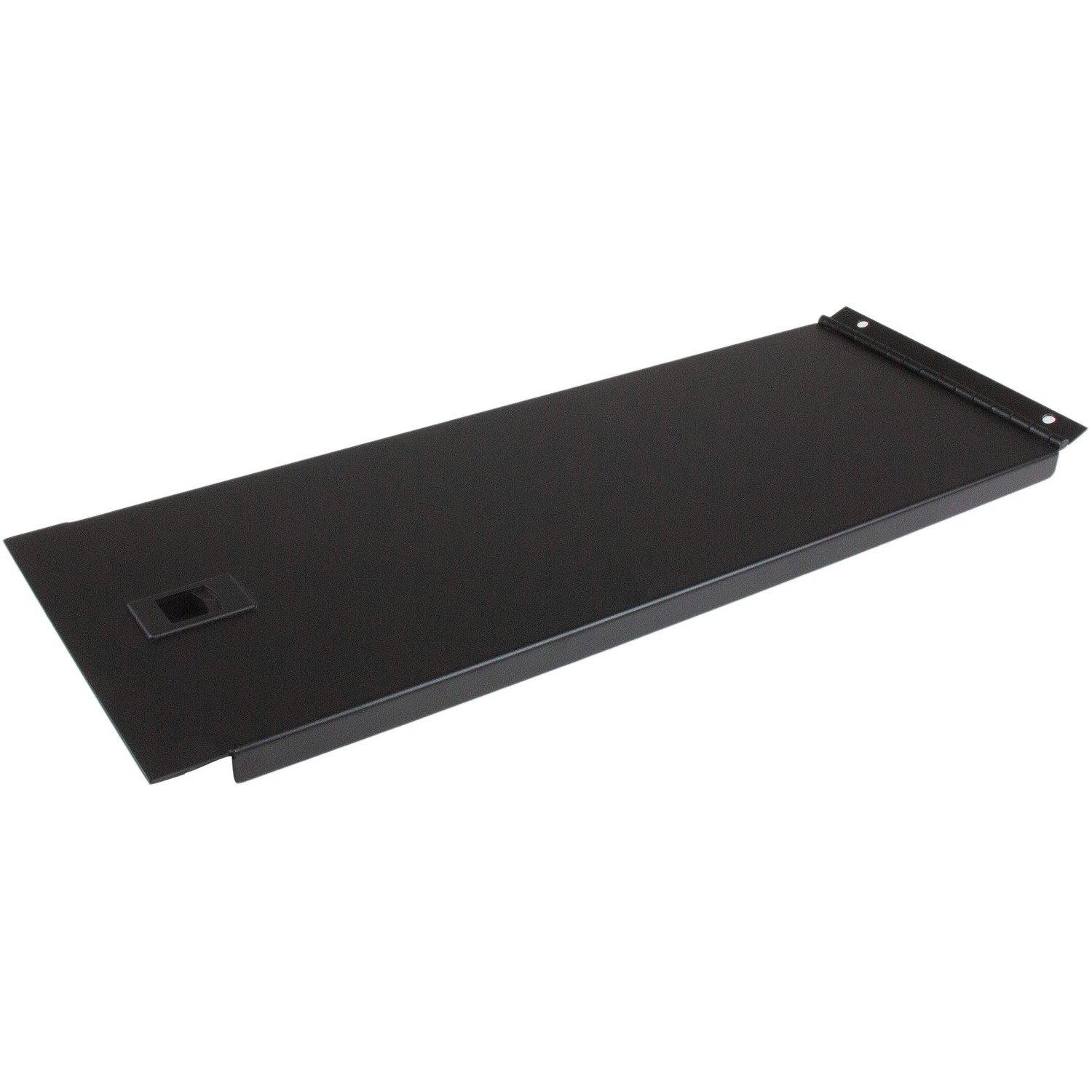 StarTech.com Solid Blank Panel with Hinge for Server Racks - 4U