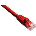 Axiom 100FT CAT5E 350mhz Patch Cable Molded Boot (Red) - TAA Compliant