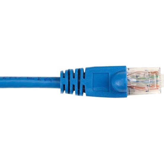 Black Box CAT5e Value Line Patch Cable, Stranded, Blue, 2-ft. (0.6-m), 10-Pack