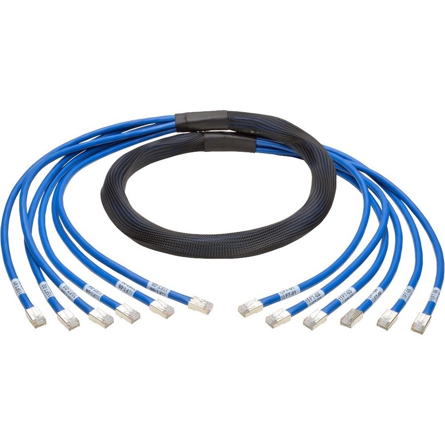 Eaton Tripp Lite Series Cat6a 10G Pre-Terminated Copper Trunk Assembly (6x RJ45 M/M), Blue, 10 ft. (3.05 m)