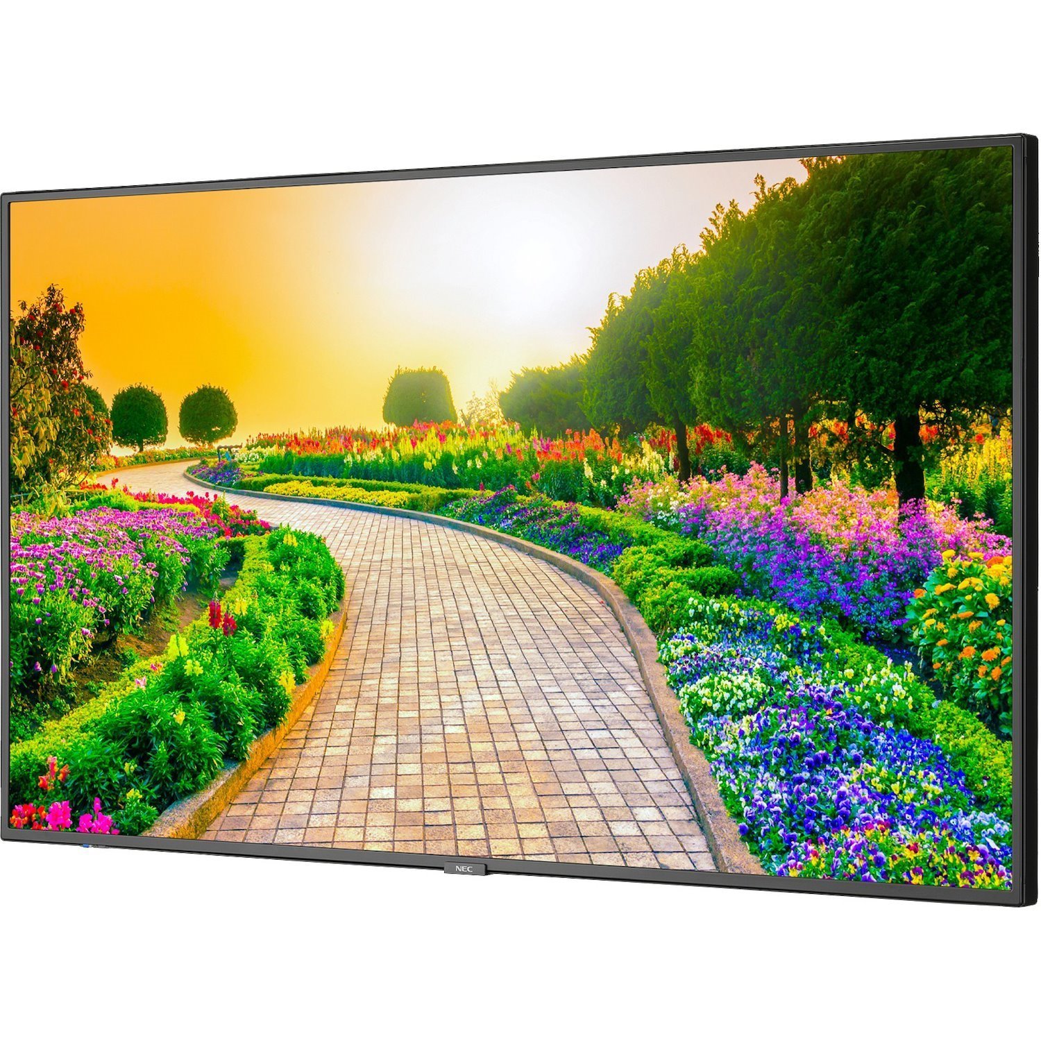 NEC Display 43" Ultra High Definition Professional Display with Integrated ATSC/NTSC Tuner