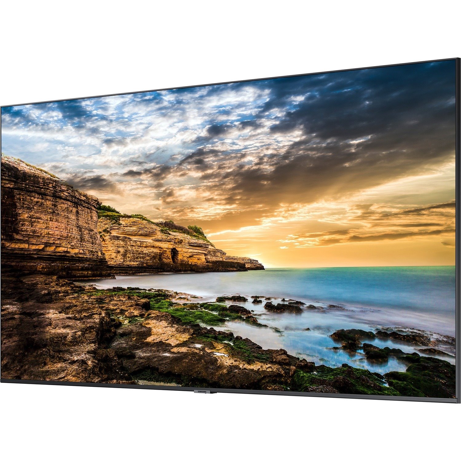 Samsung 65" Professional Display QET Series