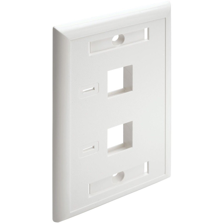 Tripp Lite by Eaton N042-001-WH Faceplate - 2 x Total Number of Socket(s) - White - TAA Compliant