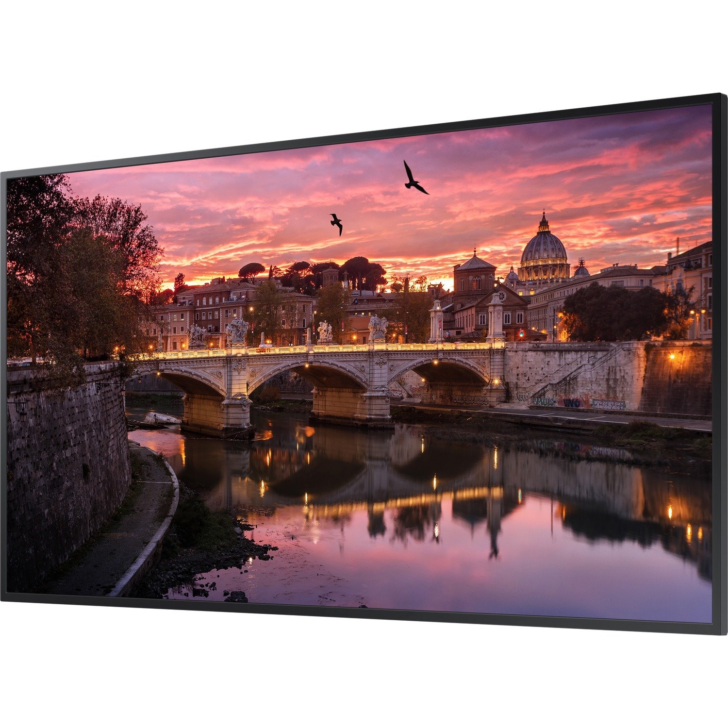 Samsung 43" Premium Display QB Series