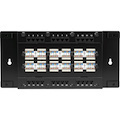 Black Box CAT6 Wallmount Patch Panel with Cover, 24-Port