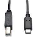 Eaton Tripp Lite Series USB-C to USB-B Cable - USB 2.0, (M/M), 6 ft. (1.83 m)