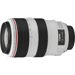 Canon - 70 mm to 300 mmf/5.6 - Telephoto Zoom Lens for Canon EF/EF-S
