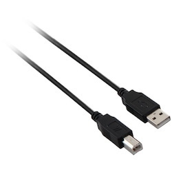 V7 USB 2.0 Cable - 6ft