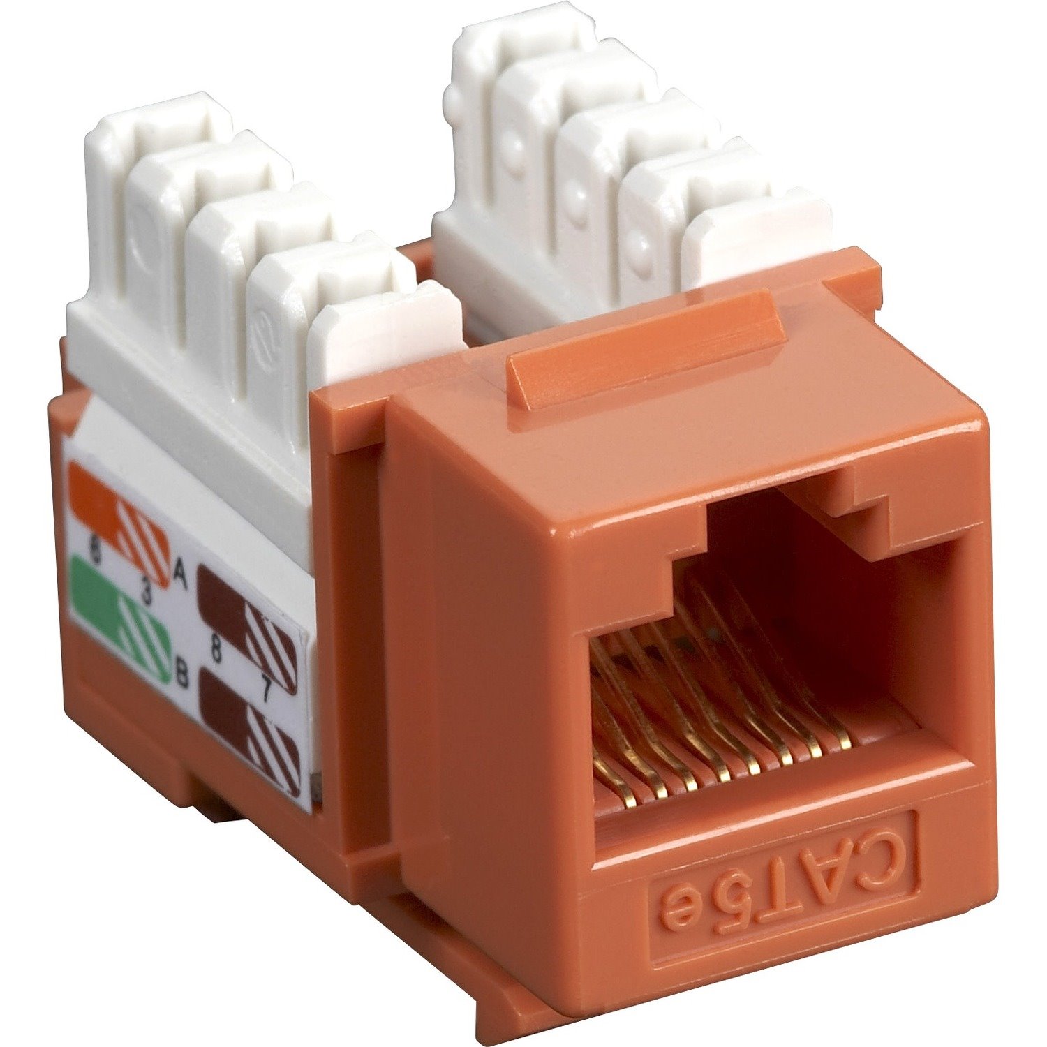 Black Box CAT5e Value Line Keystone Jack, Orange