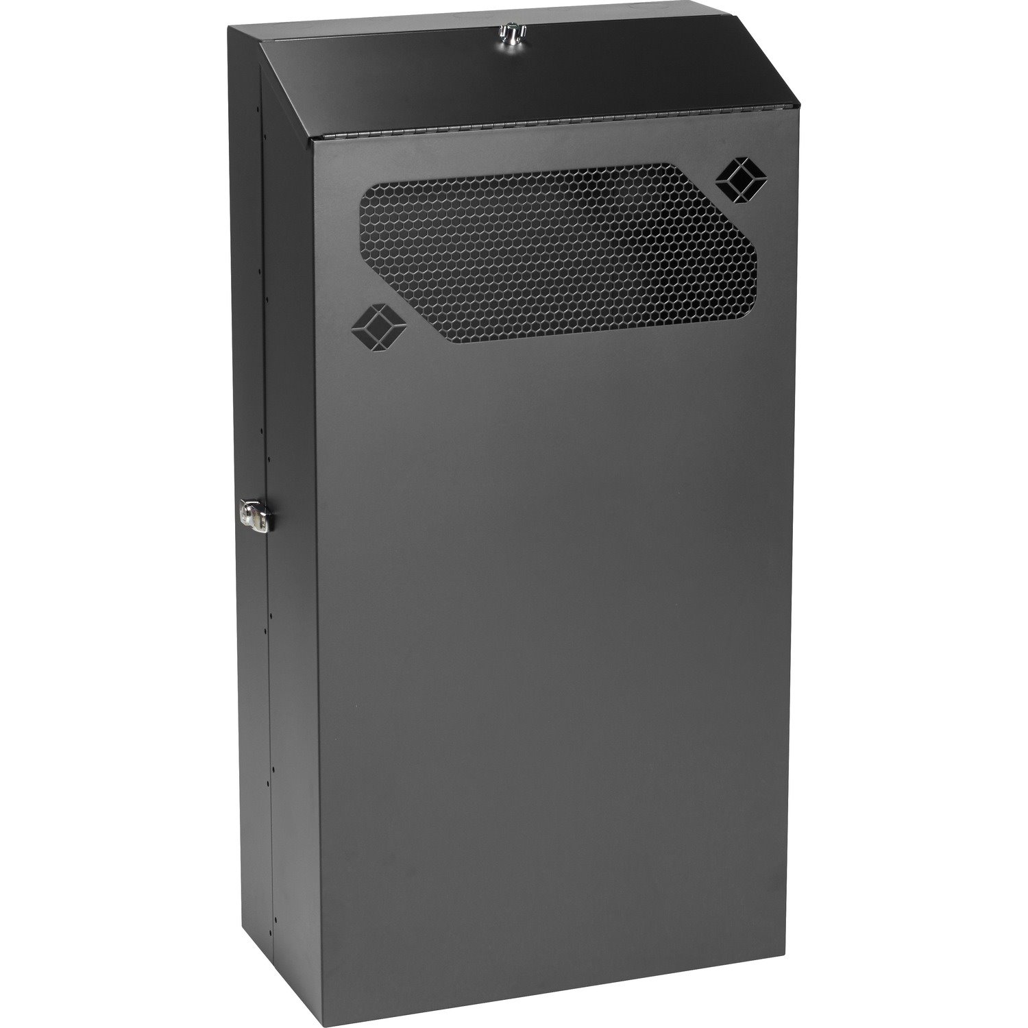 Black Box Low-Profile Vertical Wallmount Cabinet - 6U, 36"D Equipment