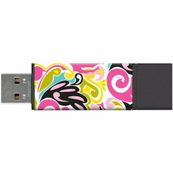 Centon 8GB USB PRO2 Macbeth Jezebel Licorice Retail